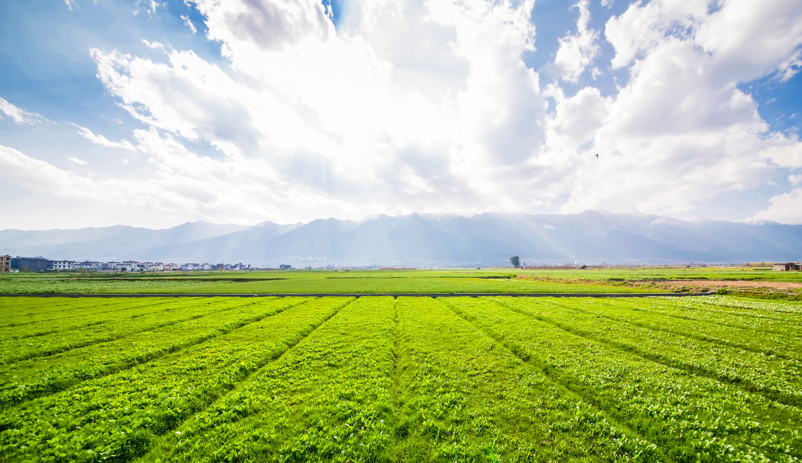 Innovación natural para tu campo
